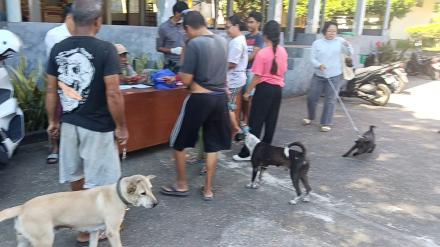 KEGIATAN VAKSINASI RABIES 
